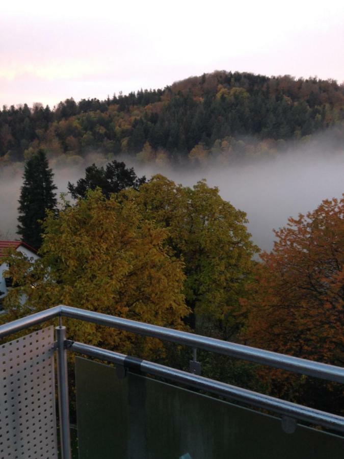 Apartment Sonnenterrasse Baden-Baden Buitenkant foto